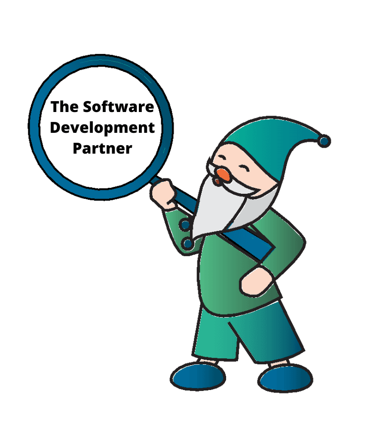 Custom software development partner